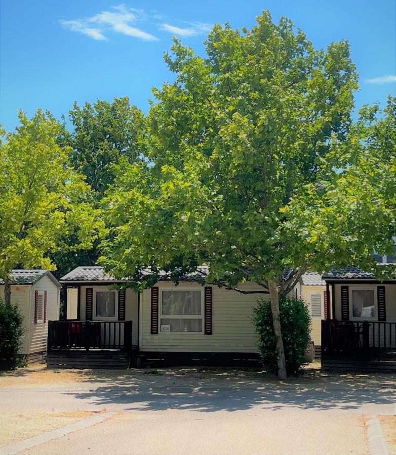 Bungalows Zaragoza Camping Exterior foto