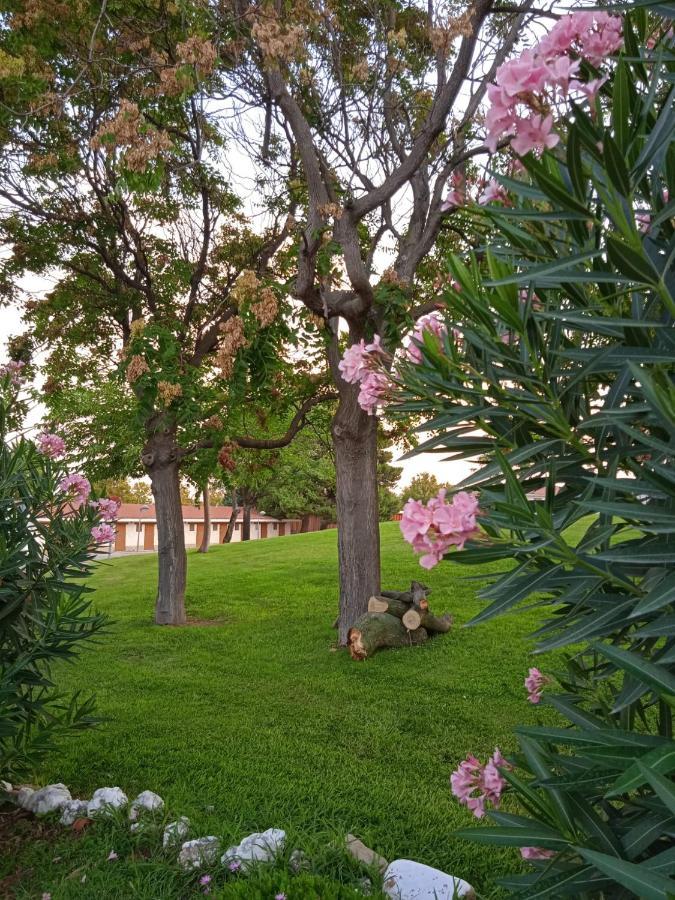 Bungalows Zaragoza Camping Exterior foto