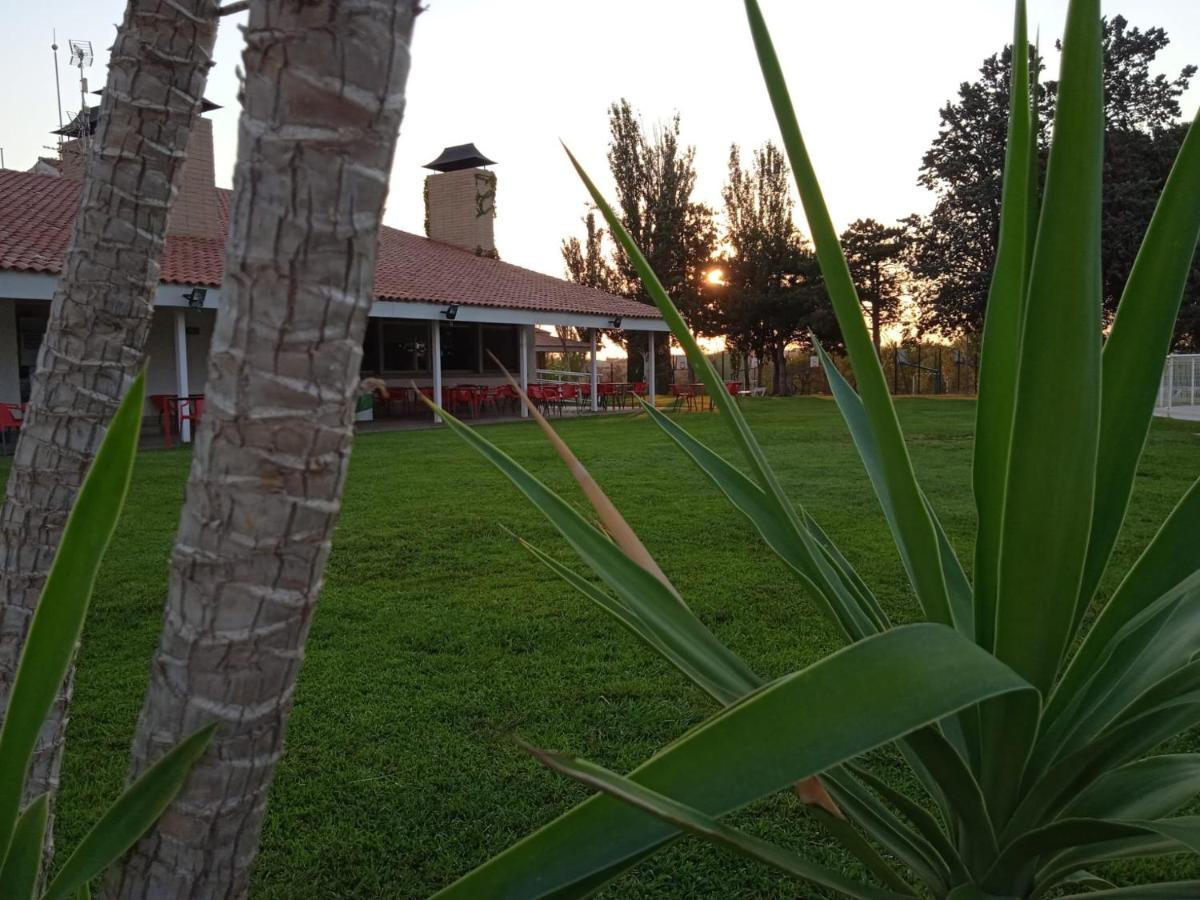 Bungalows Zaragoza Camping Exterior foto