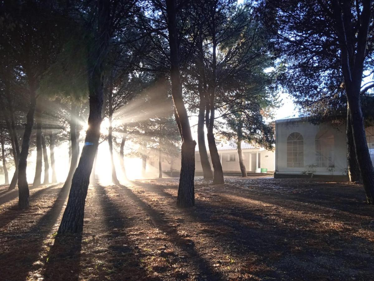 Bungalows Zaragoza Camping Exterior foto